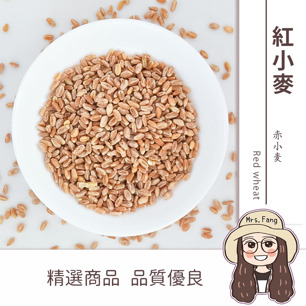 紅小麥 600g 批發【附發票｜日生元】 雜糧米 小麥 小麥草 鸚鵡 倉鼠 飼料