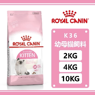 皇家-K36幼貓/幼母貓專用 2KG/4KG/10KG