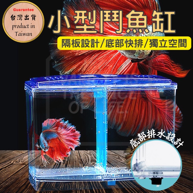 【台灣出貨+品質好物】鬥魚缸 小魚缸 懶人魚缸 鬥魚魚缸 迷你魚缸 隔離盒 水族 鬥魚 魚缸 分隔魚缸(I-246)