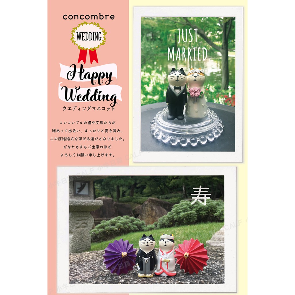 Decole 小牛日貨 日本正版concombre Wedding 結婚式和裝貓和服婚禮布置公仔擺飾 蝦皮購物