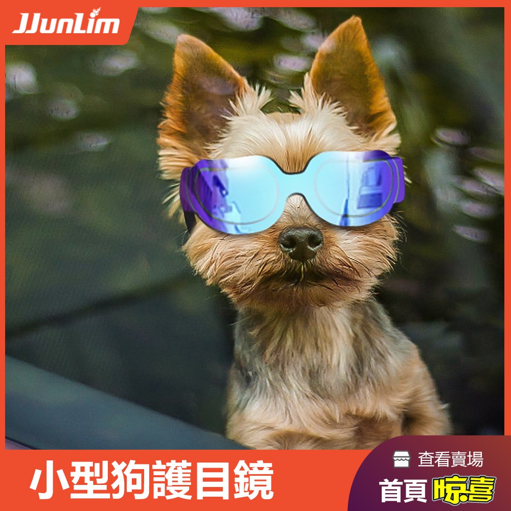 寵物眼鏡墨鏡狗狗太陽眼鏡狗護目鏡小中大型犬抗uv400 有效防紫外風灰塵碎片眼睛保護 現貨 蝦皮購物