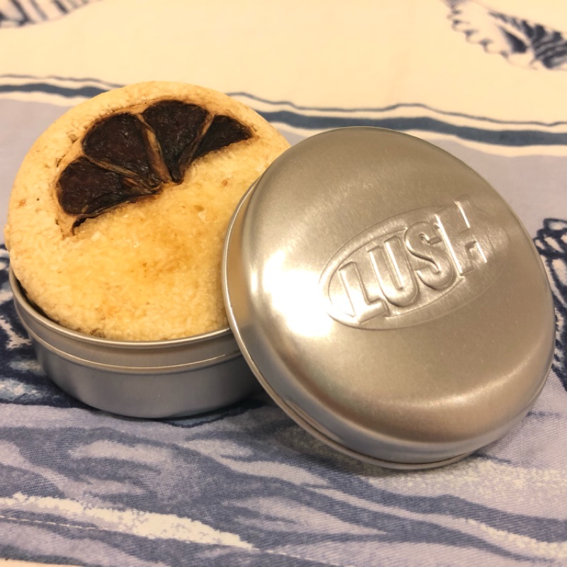 Lush英國洗髮餅、專用盒