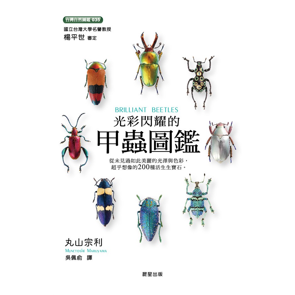 光彩閃耀的甲蟲圖鑑 暢銷書 昆蟲真不可思議 作者的最新昆蟲寫真圖鑑 蝦皮購物
