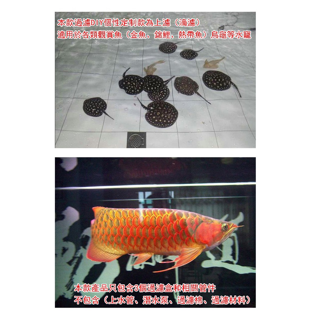 萬用款過濾箱 層數可自定 多種規格 魚池過濾水質净化水族用品 盛豐堂 蝦皮購物