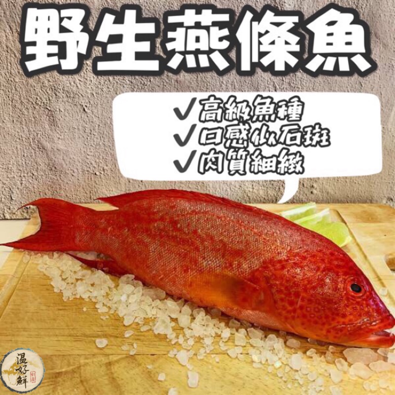 温好鮮 水產 高級 現流 野生燕條魚 蝦皮購物