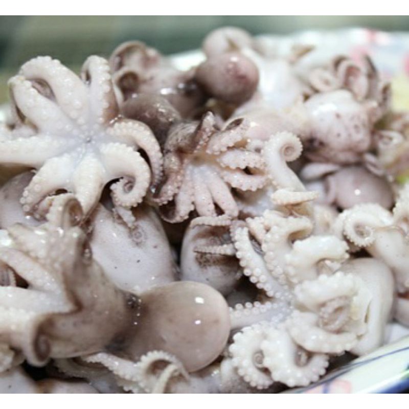 板橋阿禧鮮魚行 章魚 小章魚