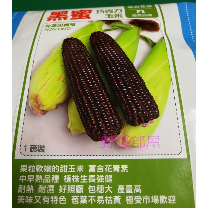 【萌田種子~】N19 黑蜜巧克力玉米種子4.5公克 , 軟嫩的甜玉米,富含花青素 , 每包16元~