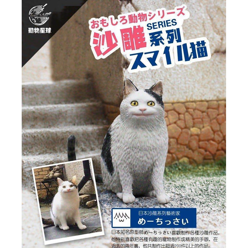 【漢斯模型】全新現貨 動物星球 沙雕系列 微笑貓 盒玩