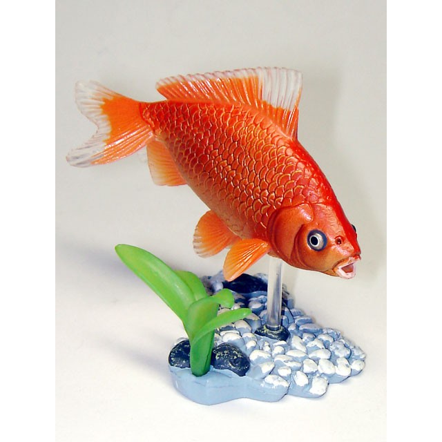 現貨yujin 原色觀賞魚圖鑑第一彈原色観賞魚図鑑金魚觀賞魚扭蛋轉蛋隱藏 蝦皮購物
