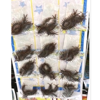 臺灣現貨 12入4入蜈蚣 整人 夜市玩具 排裝玩具 整卡出售 童玩 兒童節 安親班 露營 派對 活動 獎勵