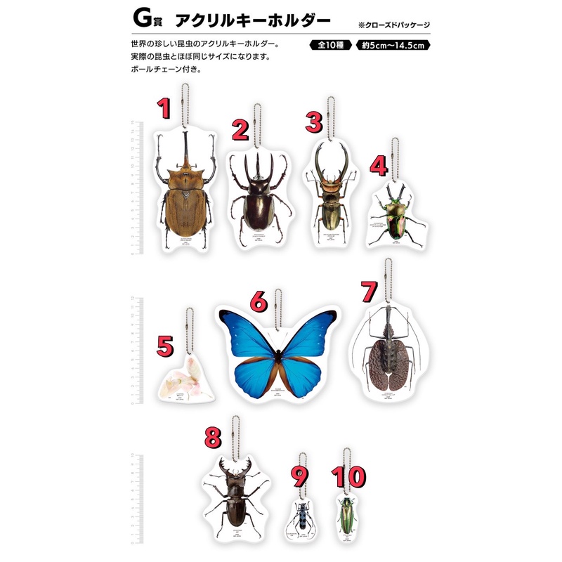 【一番賞】G賞 世界的昆蟲大集合 螳螂魔王vs甲蟲勇者 壓克力吊飾