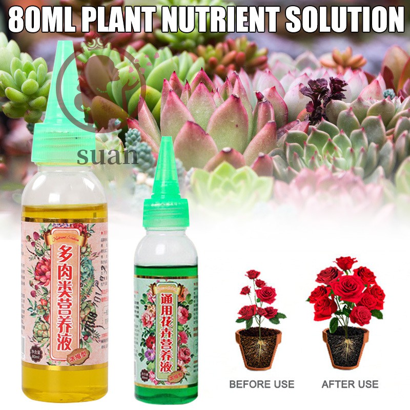 80 毫升液體植物食品濃縮液體肥料多功能多肉植物營養液 蝦皮購物