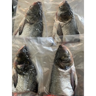 紅毛港海鮮市集鰤魚頭青甘頭 500g 5 日本進口火鍋魚頭三杯魚頭 蝦皮購物