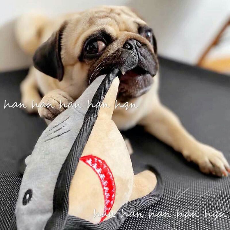 寵物毛孩狗狗耐咬鯊魚玩具大型犬大狗中型犬小型犬 蝦皮購物