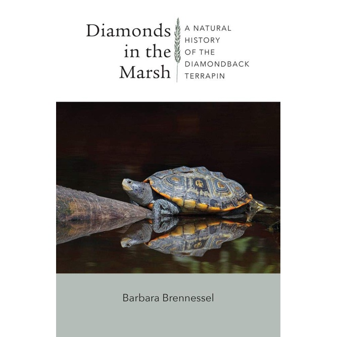 Diamonds in the Marsh:鑽紋龜的生物學 (平裝本)-2021