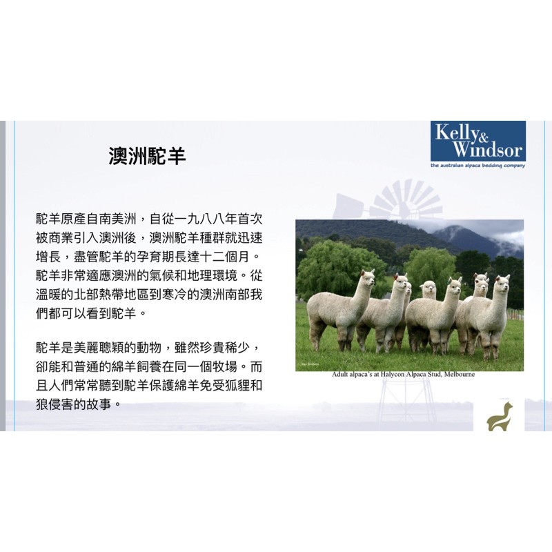 kelly&amp;windor澳洲製造 澳洲進口 全新正品駝羊被 ALPACA 涼被-現貨