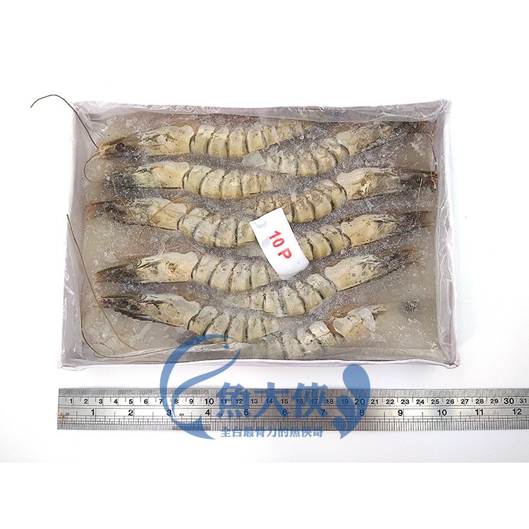 老虎蝦 優惠推薦 21年11月 蝦皮購物台灣