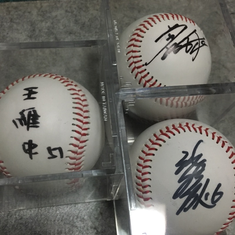 MLB 活動限量簽名球 陳偉殷 曾仁和 王維中 親簽 簽名棒球