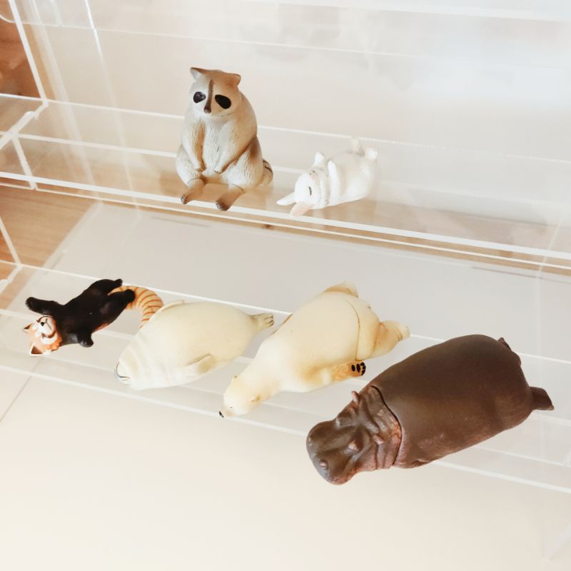 現貨動物系列轉蛋扭蛋厚道戽斗星球休眠動物園趴坐磕頭土下座 蝦皮購物