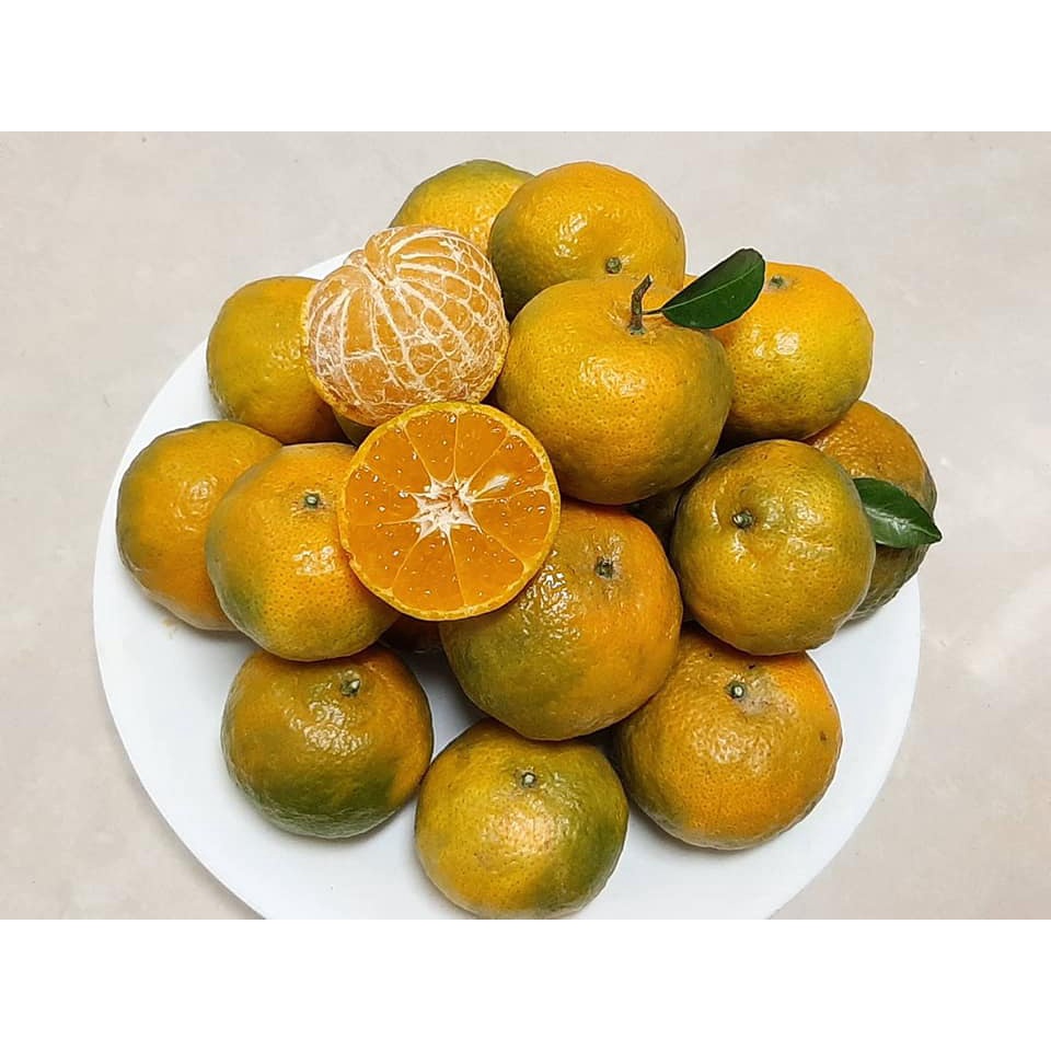 【新竹新埔橘子柳丁】⚠️最後20斤⚠️ 現採出單 《老欉 》🍊砂糖橘 珍珠柑🍊自產自銷
