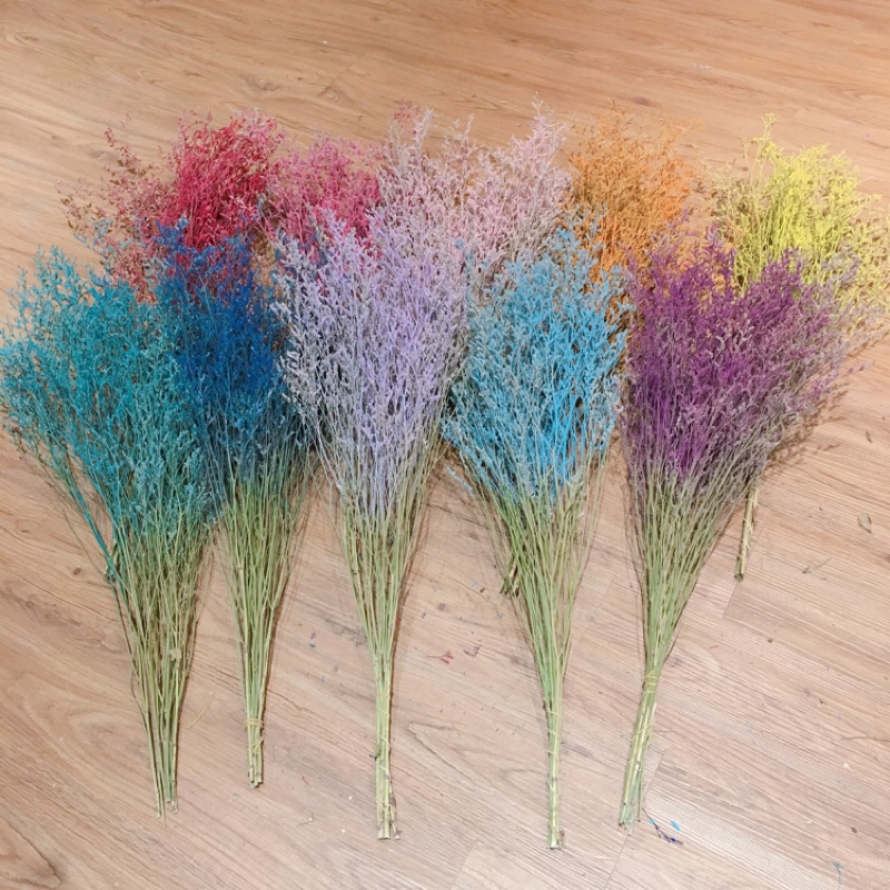 花間小姐卡斯比亞染色乾燥花十束送一束 蝦皮購物