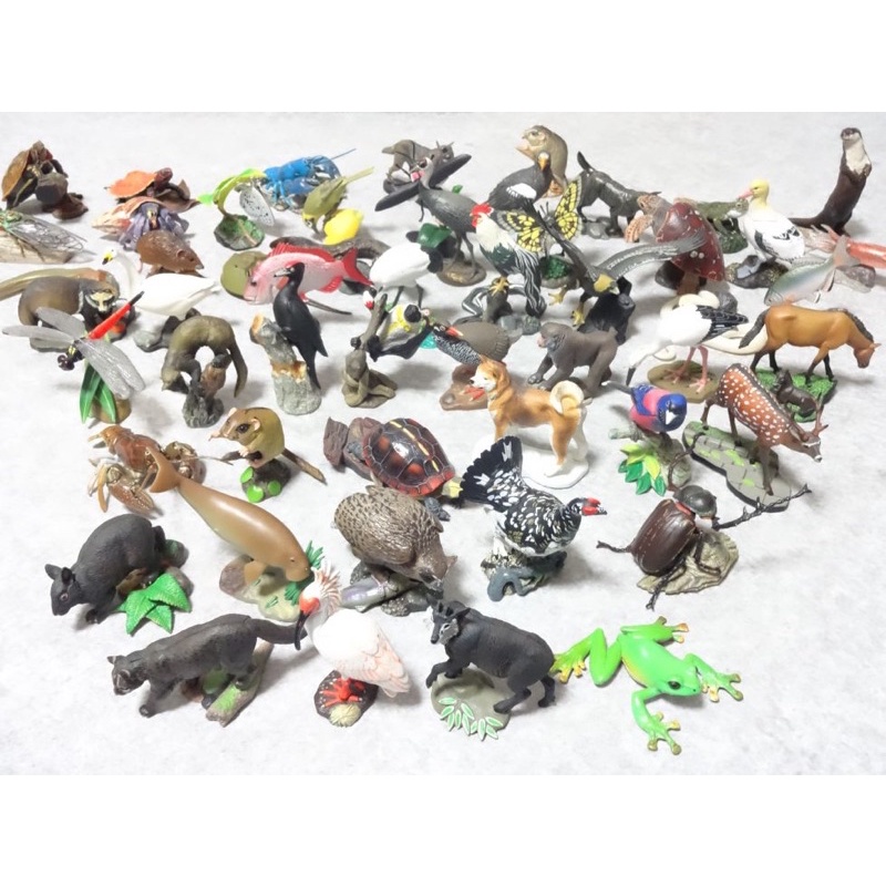 海洋生物動物フィギュアセットわがままな日本の天然記念物カード50枚以上特別ケース 海洋生物動物フィギュアセットわがままな日本の天然記念物カード