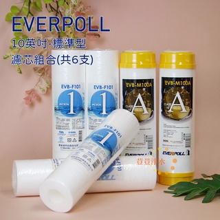 EVERPOLL EVB-F101 1微米PP濾心四支EVB-M100A道爾樹脂濾心二支(共6支)