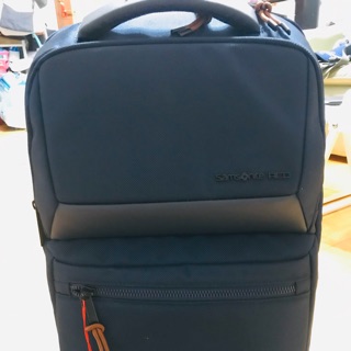 samsonite red merr backpack