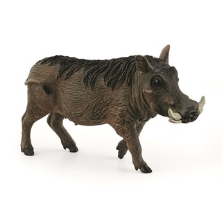 動物模型 Schleich 14843 疣豬 (新款式)