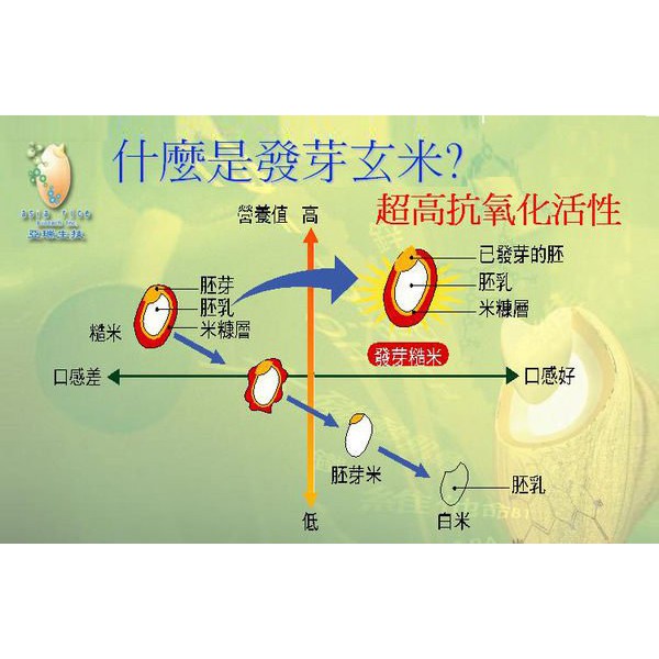 綠工坊 有機發芽玄米發芽糙米活米發芽米免洗免浸泡台灣米的驕傲產地台東亞洲瑞思 蝦皮購物