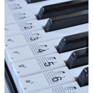 【亞薩樂器】鋼琴鍵盤電子鍵盤88Keys貼紙音樂貼花標籤筆記