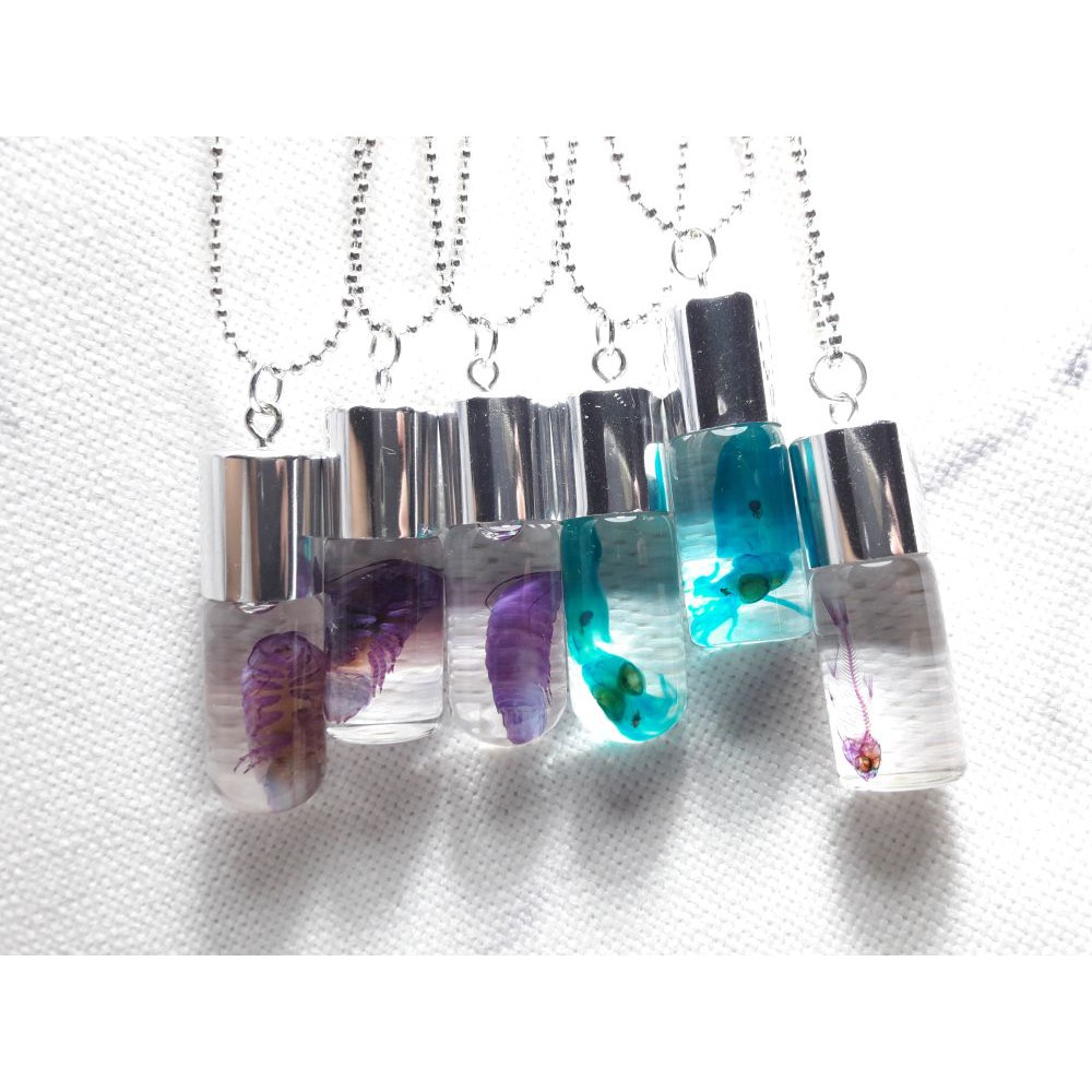 价格从 1 299 33 透明生物標本你是唯一兩用項鍊透明標本透明魚骨骼標本科 Best Price Products