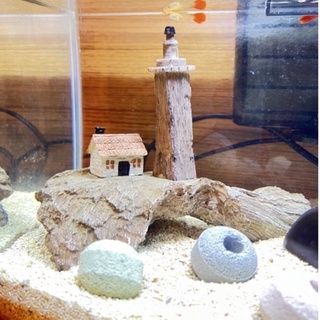 ［水族最便宜］魚缸造景 沈木 造景裝飾 魚缸裝飾 模擬岩石 模擬沈木 水草造景 崖邊漫步、海上微風、三間小屋、岸邊小徑～