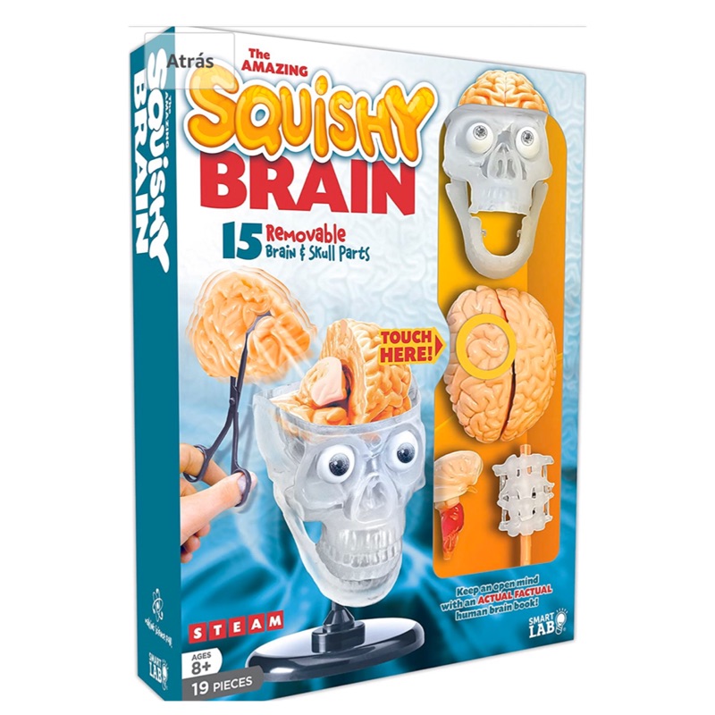 SmartLab Toys-The Amazing Squishy Brain 