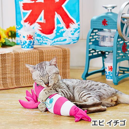 日本 Petio 派地奧 貓 木天寥 抱枕玩具 逗貓 貓草 企鵝 龍蝦 紓壓 減壓 貓玩具
