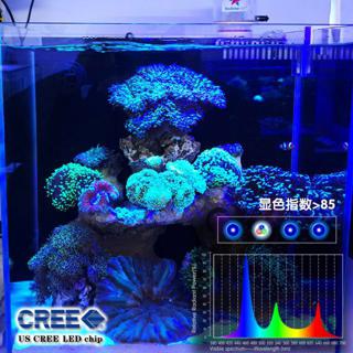 傑米水族 Key 柯澤 10w Led 夾燈海水軟體珊瑚藻缸藻燈微缸小缸fo Lps 調光 蝦皮購物