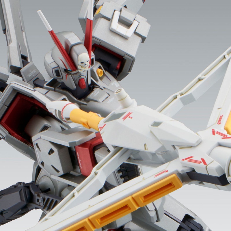 MG 1/100 CROSSBONE GUNDAM X0 Ver.Ka 魂商店貨
