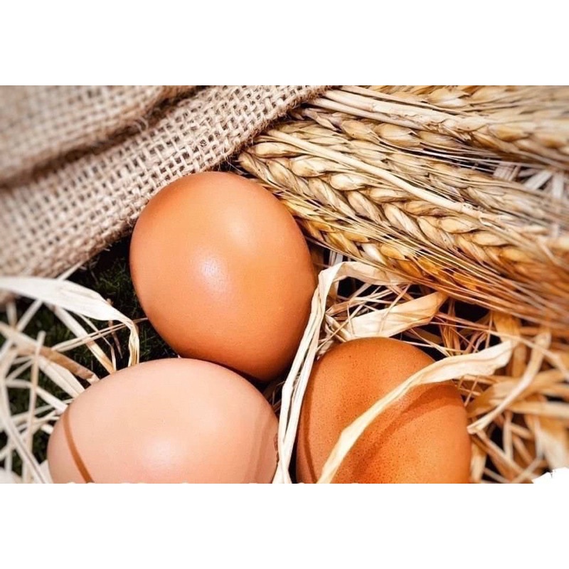 🌟放牧養殖農場 養生納豆蛋紅蛋 雞蛋15入*4盒（紅蛋下單區）