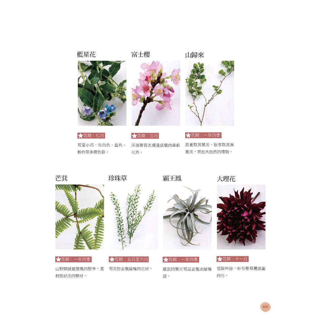 噴泉 Fanfanの新手花藝課手作美好花時間 暢銷增訂版 手作人の桌花 花束 多肉組合 蝦皮購物