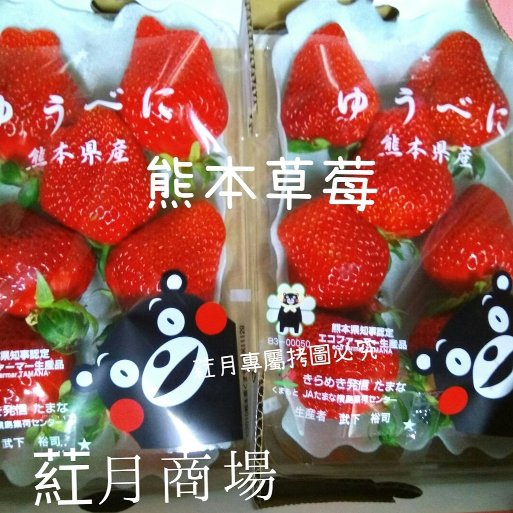 🍓日本草莓🍓熊本草莓，熊本戀人草莓限時破盤下殺(免運費)