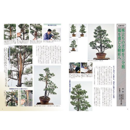 小樹安每 近代出版社 五葉松盆栽作業實例 蝦皮購物