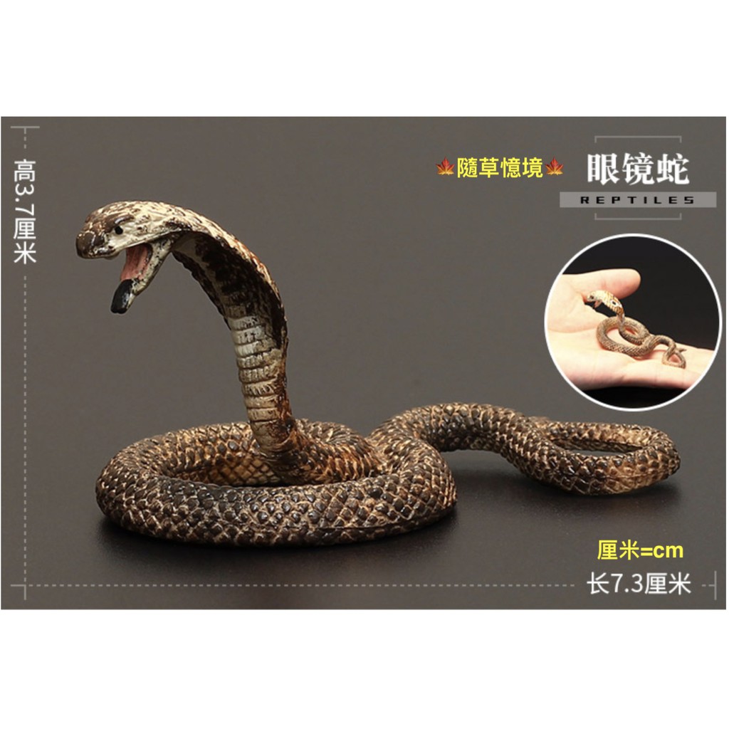 （稀有珍藏）SPG 正版 眼鏡蛇 蛇 毒蛇 仿真動物模型 套裝 野生動物 兒童公仔
