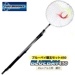 🌊沖繩釣具🌊PRO MARINE BLUEWAY 磯玉柄540 全新品