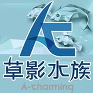 Ac草影水族 線上商店 蝦皮購物