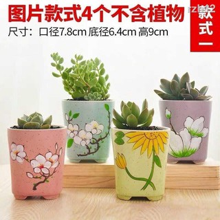 0705 現貨下殺簡約多肉小花盆小號可愛精致仙人掌家庭星座拇指盆栽高腳動物文藝 6月30日發完 蝦皮購物