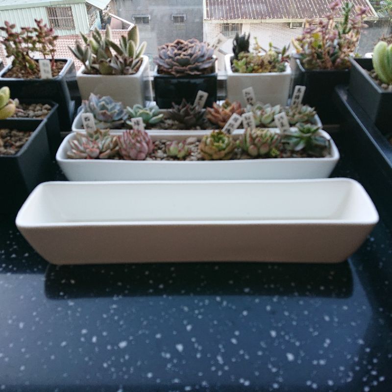 白色長方型花盆 白色長型瓷盆 白色長條盆器 蝦皮購物