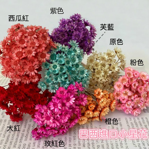進口巴西小星花永生花星星花不凋花乾燥花繁星花浮游花材香薰蠟燭材料捧花花材diy花藝材料攝影道具擺設 蝦皮購物