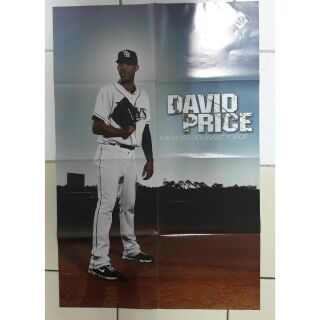 美國職棒大聯盟MLB光芒隊王牌投手David Price海報