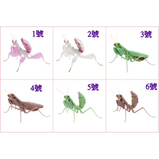 萬代 BANDAI 轉蛋扭蛋 環保扭蛋 昆蟲大圖鑑 生物大圖鑑 超擬真 蘭花螳螂 螳螂 03 3代 可動 單售