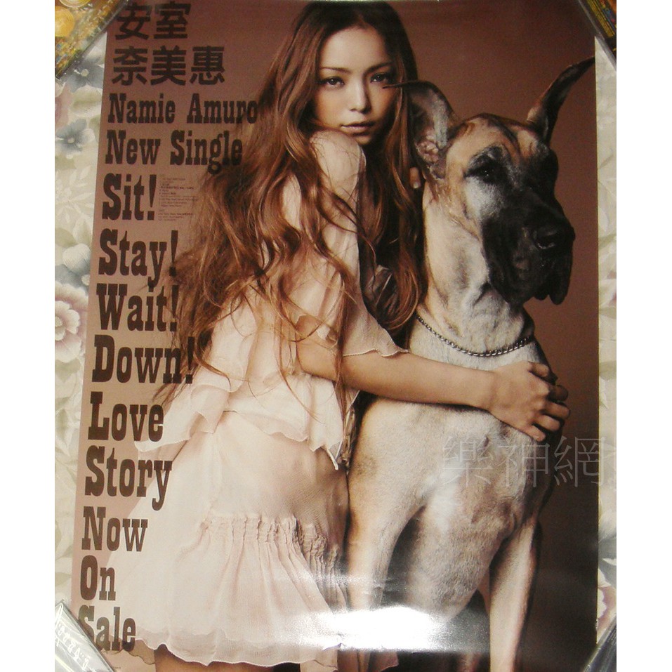 安室奈美惠amuro Namie Sit Stay Wait Down Lo 原版宣傳海報 全新 蝦皮購物